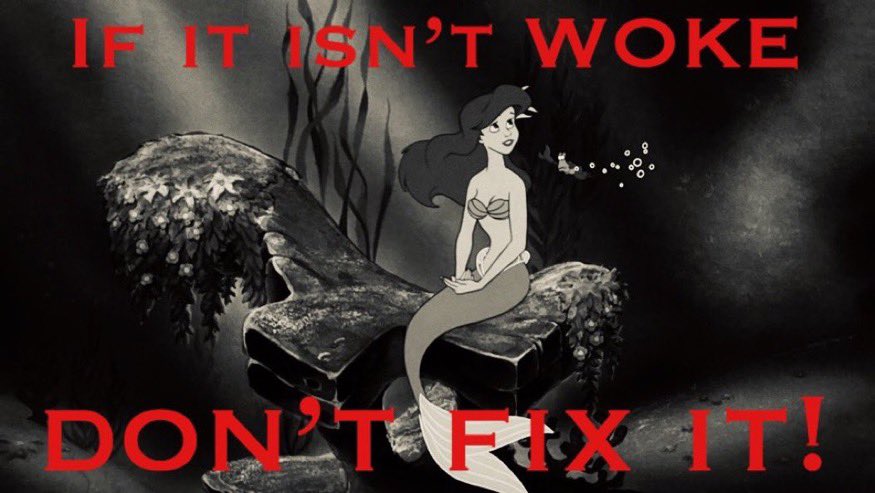 KinglyFirefly's tweet photo. The truth is that the #NotMyAriel stance is anti-racist. It’s the ones who call white girls “Karens” who promote true racism. https://t.co/Uc1iv3qPkq