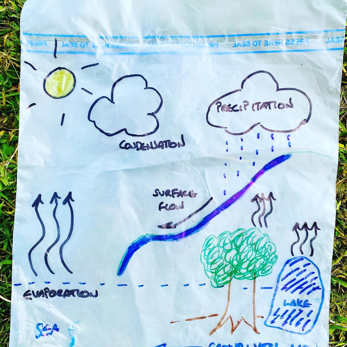 weeSTEMs's tweet photo. 🌧 Water Cycle in a Bag 🌧 

Explore the journey of water with this easy and sensory water cycle activity. 

Activity 5 https://t.co/9GihKq69od

#water #waterexperiments #watercycle #colourfulwater #experiment #explore #question #stem #stemforkids #stemactivities #scienceactivity https://t.co/xuxU4X0TrL
