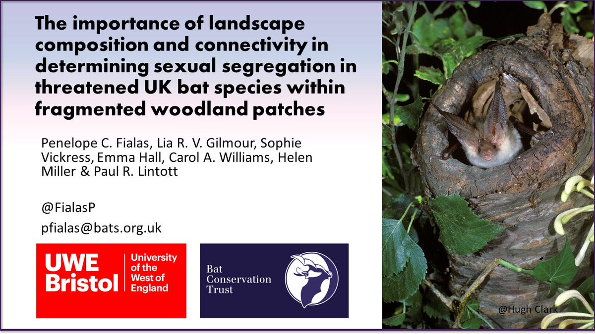 1/5  #WBTC1  #BatLand1 Agricultural expansion & the resultant fragmentation of habitats has led to  declines in biodiversity, but how male & females  respond to landscape fragmentation? We assessed sex differences in the use of fragmented woodlands using  #CitizenScience data