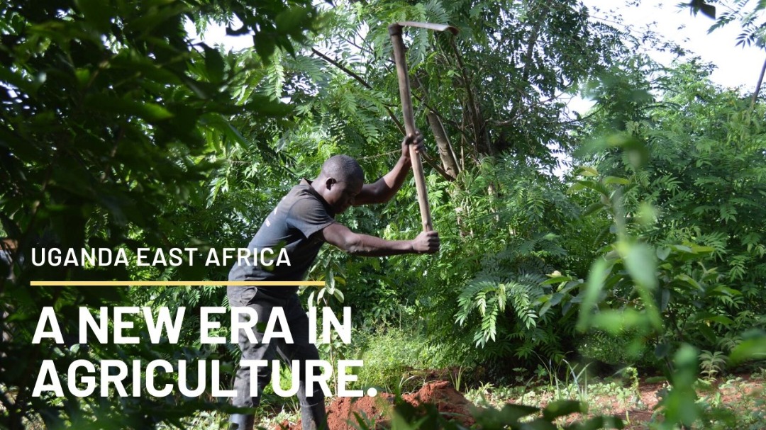 With the #RestorationDecade upon us, we've developed a new era of #agriculture in #Uganda through #permaculture design. 
We look forward to leading the #GenerationRestoration movement in Uganda and #Africa.
#ThinkLandscape
#GLFBonn2020
youtu.be/DGySXFXeoyg