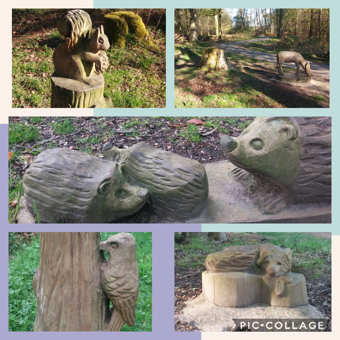 BorestoneA's tweet photo. What animals have you spotted when out walking?👣🐾 Can you identify these wood carved creatures in the picture? For your Hi-5 challenge you could choose an animal or bird and write 5 facts about them and/ or simply draw a picture🐿️. https://t.co/gaFcTvdOB3