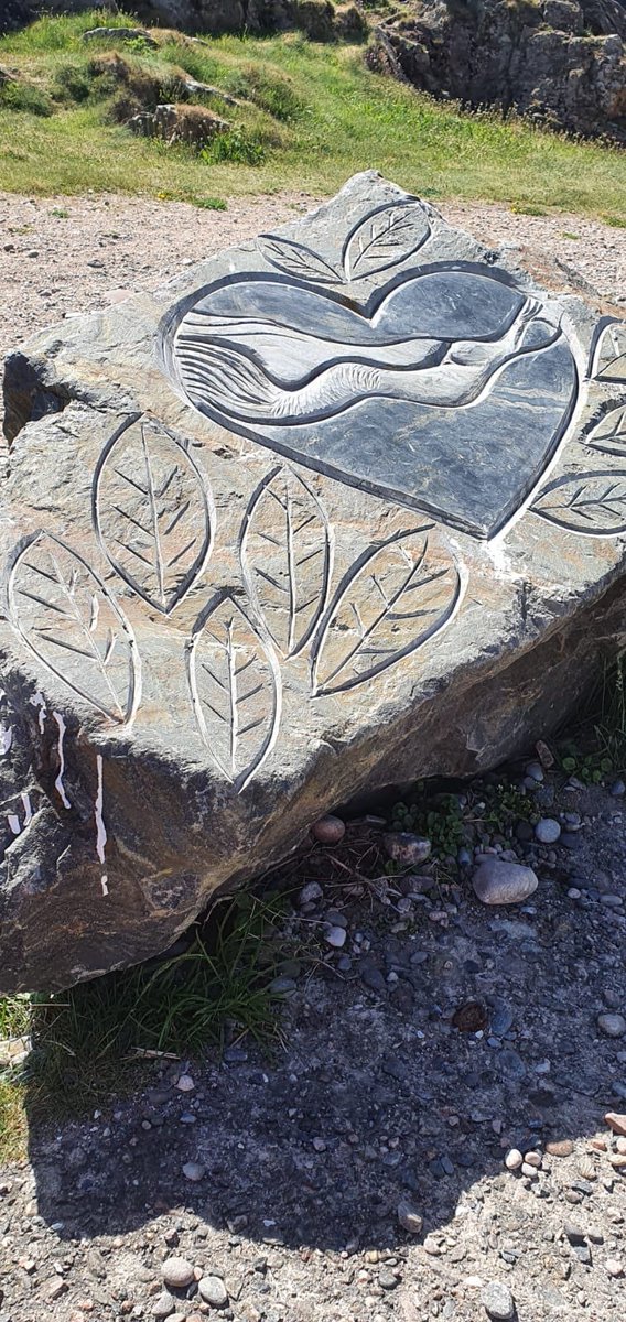 PaulineRobb3's tweet photo. Cove Harbour for Wellbeing Wednesday. This is some of Mya’s photo’s. @Kirkhill_School Was lovely seeing @MissSomerville https://t.co/YX4XrHbT35