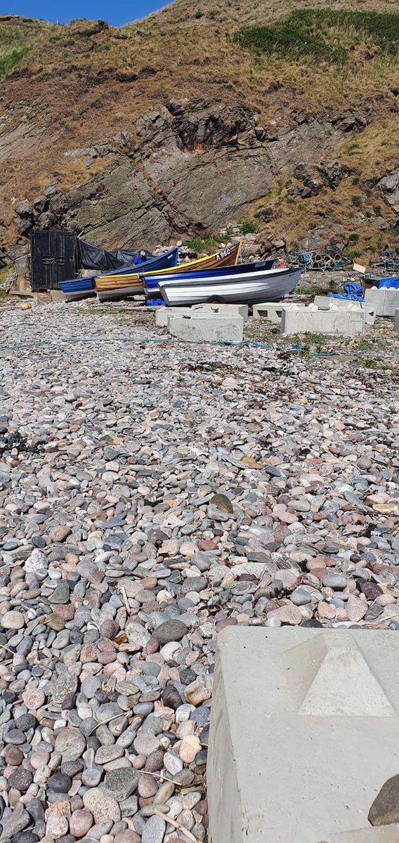 PaulineRobb3's tweet photo. Cove Harbour for Wellbeing Wednesday. This is some of Mya’s photo’s. @Kirkhill_School Was lovely seeing @MissSomerville https://t.co/YX4XrHbT35