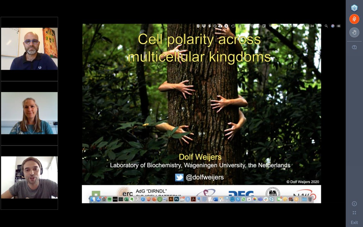 Modifications_p's tweet image. here we go !!!!!