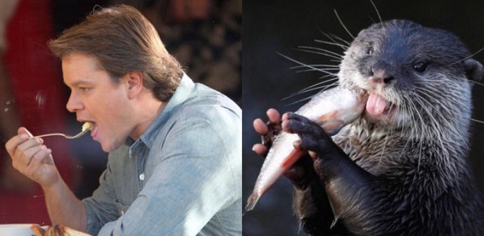 Otters that look like Matt Damon.