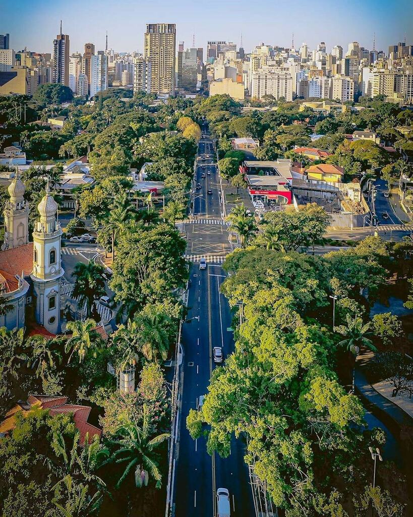 JardinsLove's tweet photo. 📍Jardim Paulista
📷 @serjosoza
Rua Colômbia, Augusta.
São Paulo.
#sãopaulo #saopaulocity #splovers #saopaulowalk #cidadedagaroa #spdagaroa #ig_saopaulo #jardinslove #jardinssp #olharesdesampa #sampa #vejasp #aquelasp #saopaulonline #saopaulodagaroa … https://t.co/6DTGD9QV2y https://t.co/5FkdfIjfWO