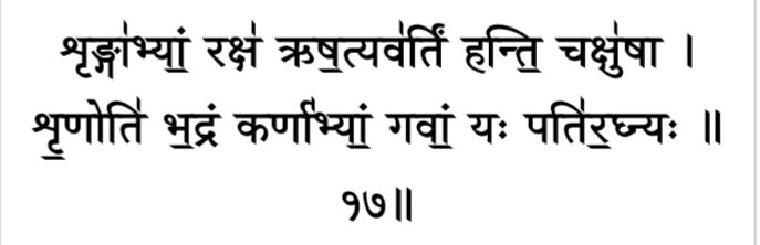 (In this mantra an ox has been described as “not to be killed” (अघ्न्य:). The suggestion that the ﬂesh of the cow was eaten on special occasions is also ridiculous. Atharva [9/4/17]