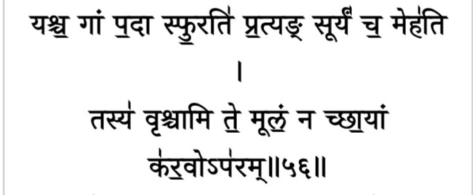 The penalty of death has been suggested for those who kill the cows :