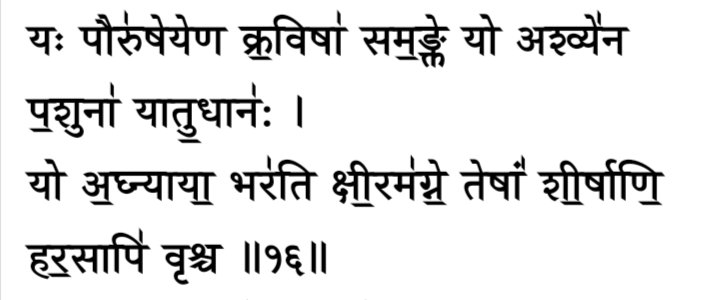 Also the similar punishment is suggested for even stealing her milk:who fills himself with the flesh of man and he who fills himself with the flesh of horses of other animals and who steals the milk of the cow. Cut off their heads with your flame. Rigveda [10/87/16]