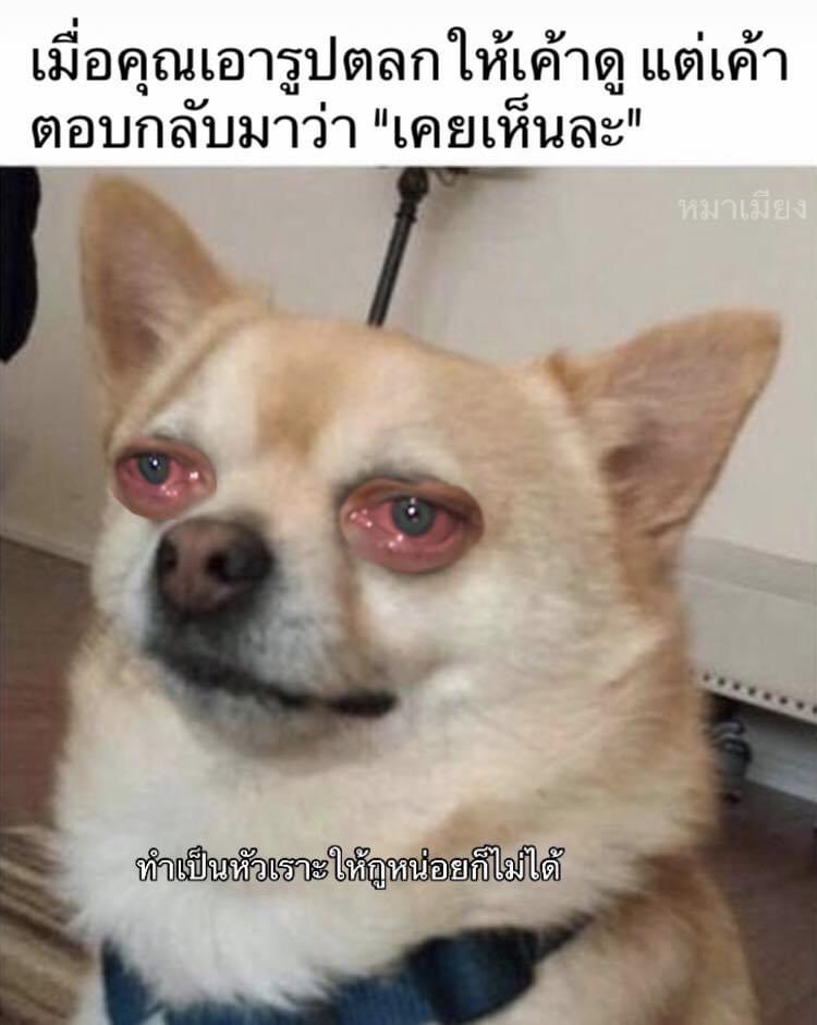 เหร้ยมาก55555555555555555565