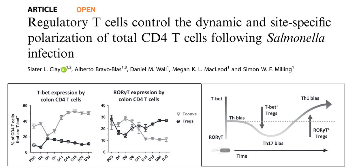 Slater Clay (@slaterc_) on Twitter photo Very happy to share this work from my PhD with <a href="/MillingLab/">Milling Lab</a>, out now <a href="/MucosalImmunol/">Mucosal Immunology</a>. Colon Tregs don’t just inhibit CD4 T cells, they can shape Th bias in a dynamic and fine-tuned way. nature.com/articles/s4138… Very happy to share this work from my PhD with <a href="/MillingLab/">Milling Lab</a>, out now <a href="/MucosalImmunol/">Mucosal Immunology</a>. Colon Tregs don’t just inhibit CD4 T cells, they can shape Th bias in a dynamic and fine-tuned way. nature.com/articles/s4138…