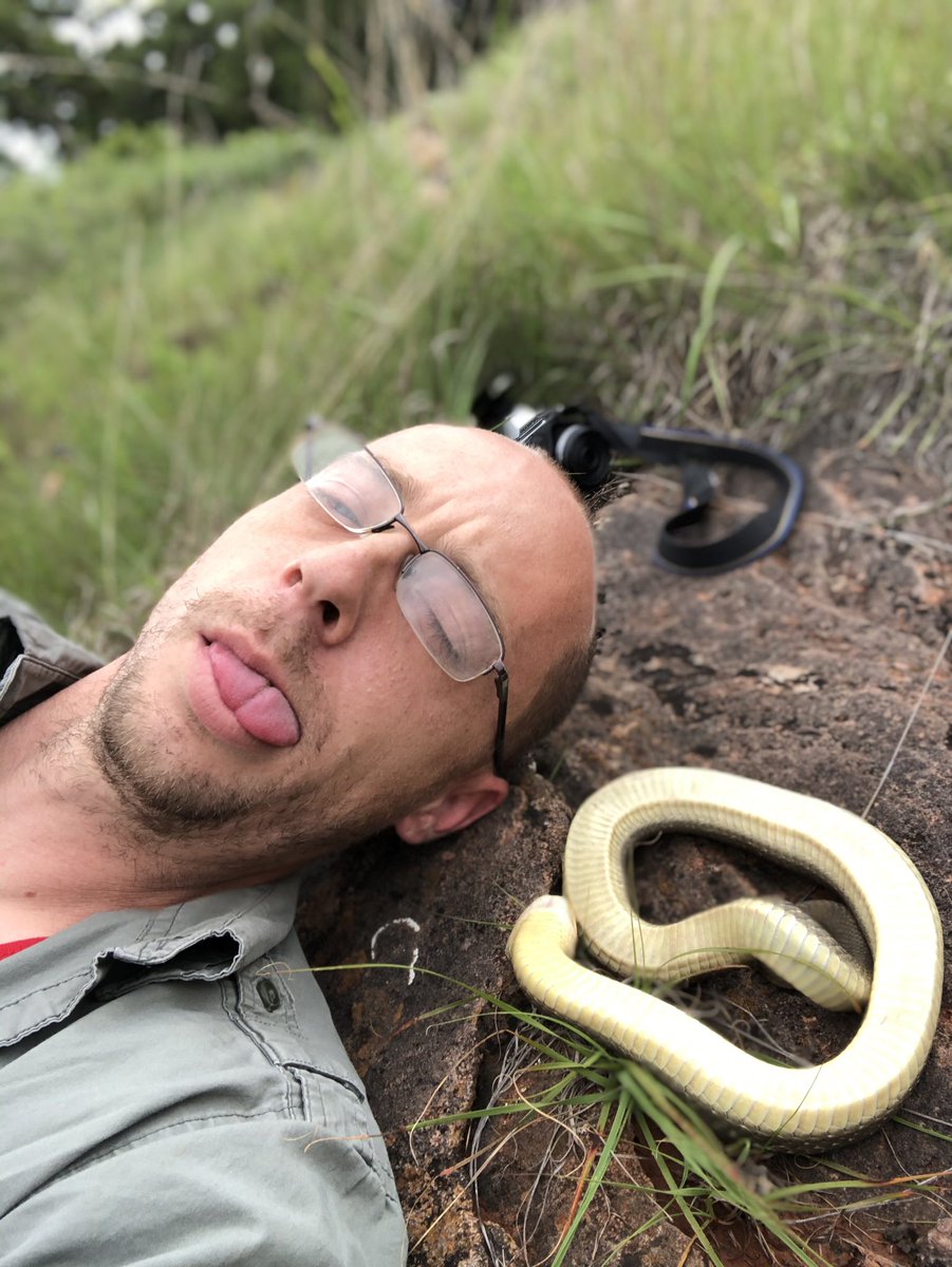 BugCatcher_Mark's tweet photo. Got bored waiting on this Eastern Hognose to come back to life. If you can’t beat them join them. #hognose #herping #playdead #herping2020 #oklahoma #snake https://t.co/LtsrxXChHb