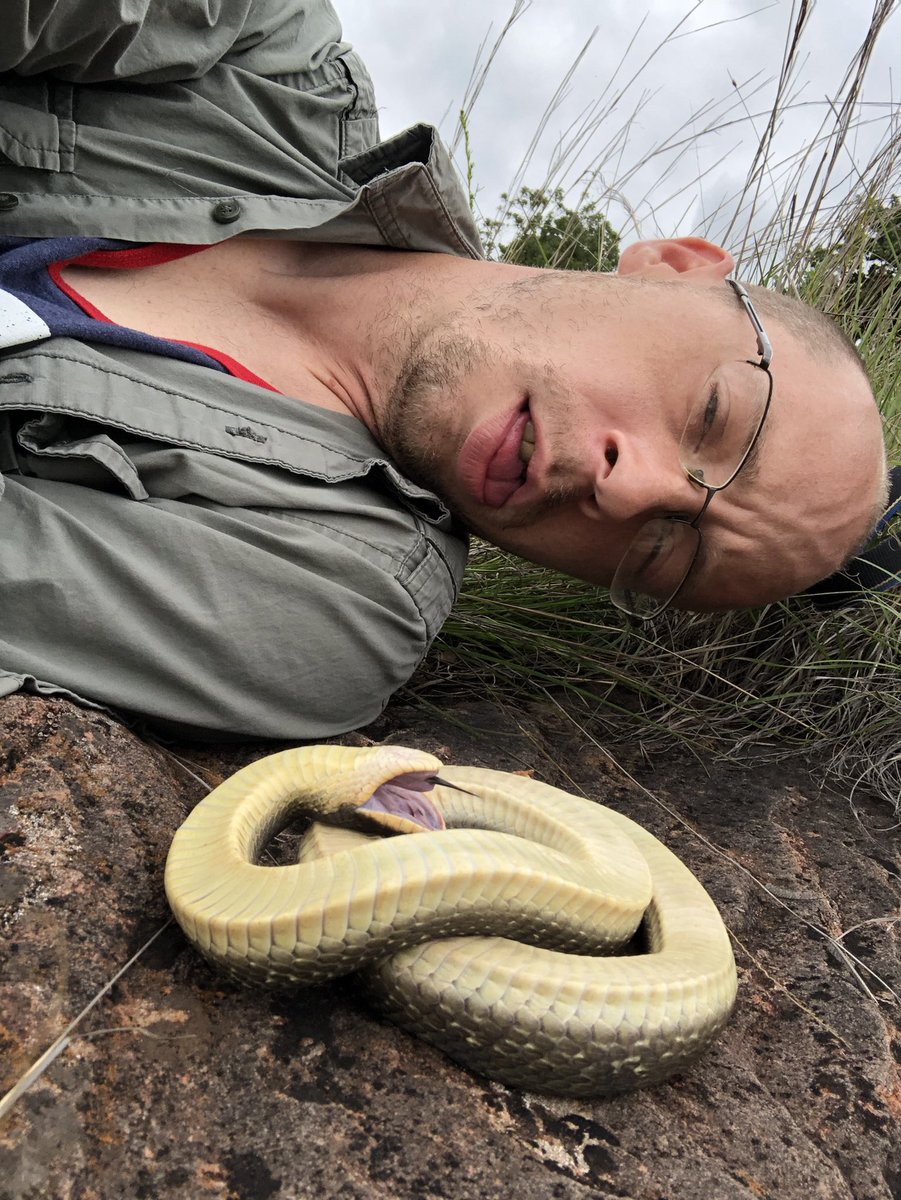 BugCatcher_Mark's tweet photo. Got bored waiting on this Eastern Hognose to come back to life. If you can’t beat them join them. #hognose #herping #playdead #herping2020 #oklahoma #snake https://t.co/LtsrxXChHb