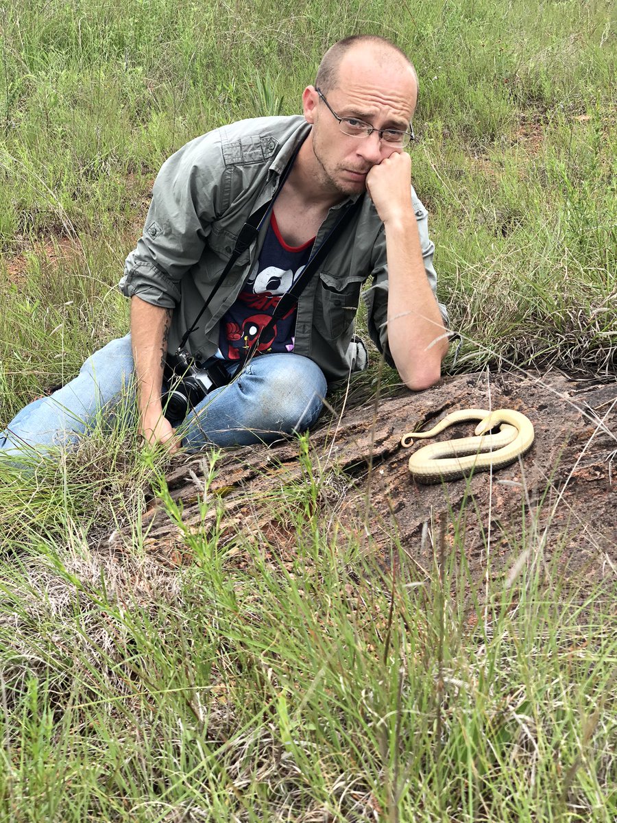 BugCatcher_Mark's tweet photo. Got bored waiting on this Eastern Hognose to come back to life. If you can’t beat them join them. #hognose #herping #playdead #herping2020 #oklahoma #snake https://t.co/LtsrxXChHb