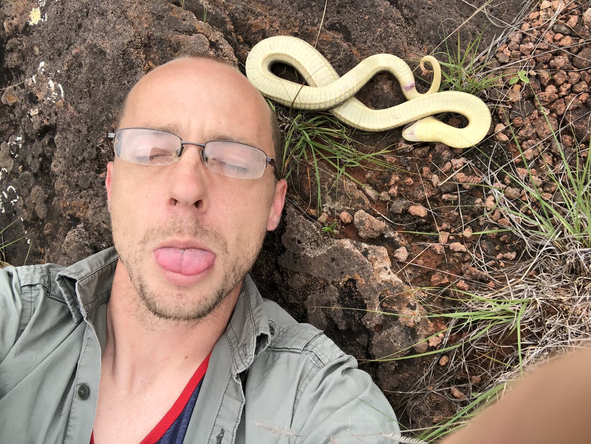 BugCatcher_Mark's tweet photo. Got bored waiting on this Eastern Hognose to come back to life. If you can’t beat them join them. #hognose #herping #playdead #herping2020 #oklahoma #snake https://t.co/LtsrxXChHb