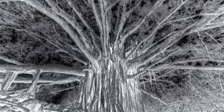 Agosto Foundation tweet media