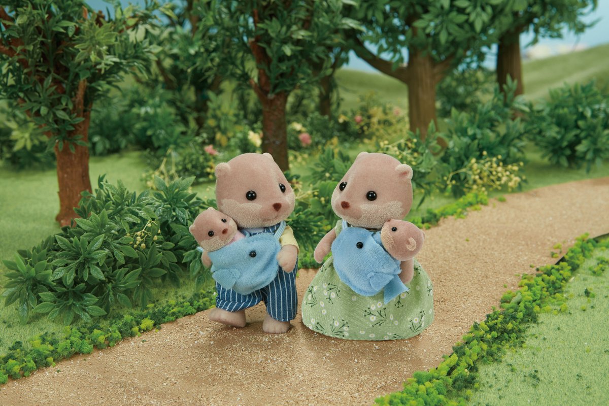 splashy otter family