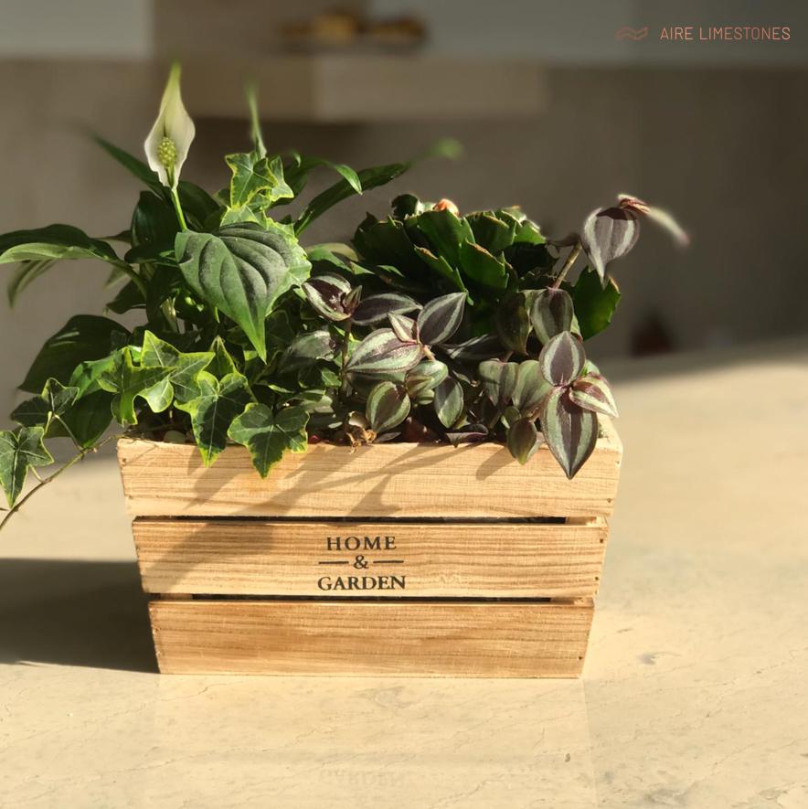 airelimestones's tweet photo. atlantis kitchen table 

#airelimestones #usenaturalstone #atlantis #exclusivematerial #portugueselimestone #interiordesign #choosenaturalstone #kitchendesigns #limestone #luxury #architecture #naturalstone https://t.co/VuMyaNxS7a