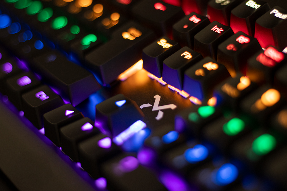 DroxioGaming's tweet photo. ¿Necesitas renovar tu T E C L A D O ?

Sube de nivel con #KOTAKA
☑️ BlueSwitch
☑️ Mecánico
☑️ Aluminio
☑️ 50 millones de pulsaciones

Y ahora por SOLO 37,95€ en https://t.co/xVv2AItoG8

O F E R T A L I M I T A D A

#playDroxio #DroxioManiaco #eSportsLovers #gaming https://t.co/D2XqXQ6A3z