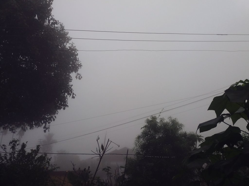 KkrishnaSwainn's tweet photo. Picture 1:- At 10 o'clock in the morning
Picture 2:- At 12 noon
#Itangar
#weather https://t.co/Cdda0j9W1S
