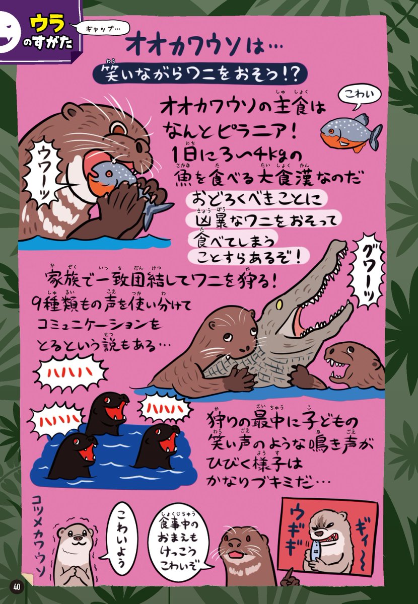 #世界カワウソの日 なのでカワウソ図解セットをどうぞ。
オオカワウソ→『ゆかいないきもの㊙︎図鑑』
ニホンカワウソ→『絶滅どうぶつ図鑑』 