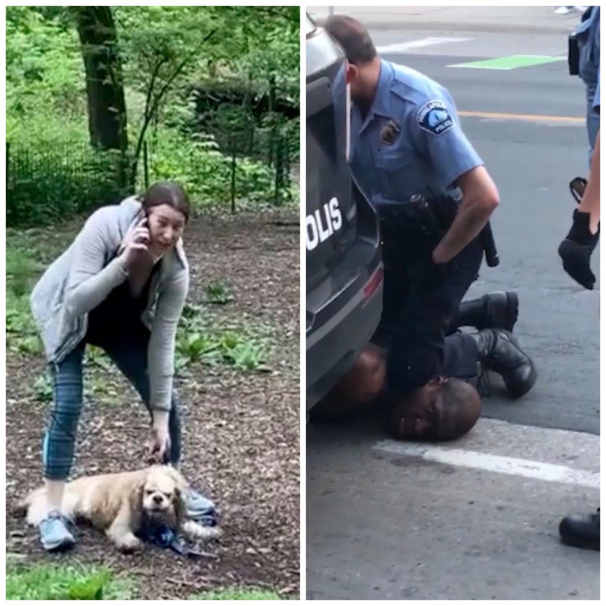 jesspessu_it's tweet photo. Me and other Black People Minding Our Business Trying to Survive COVID: 

America Reminding Us We Are Black So COVID is the LEAST of Our Worries: #AmyCooper #GeorgeFloyd #BlackLivesMatters #icantbreathe #BlackTwitter #ThisIsAmerica #JusticeForGeorgeFloyd https://t.co/GFsE6VMzTR