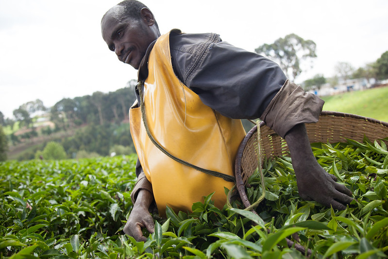 LSHTM_Planet's tweet photo. We must create food systems that provide healthy food to everyone today and in future generations, without exploiting human or planetary resources - but how?
🌾🌎
👉https://t.co/PG9z8HuPXt
@franbharris &amp; @amyvthomas discuss in @FoundSciTech's series.
📸@WorldBank https://t.co/gS7T0I72Ys