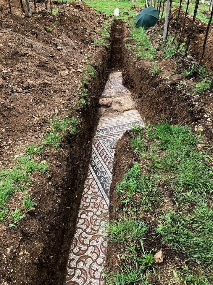 SanatTarihiPlt's tweet photo. İtalya'da Verona'nın 12 km kuzeybatısındaki Negrar di Valpolicella bölgesindeki bir üzüm bağında Roma dönemine ait bir villaya ait taban mozaikleri ortaya çıkarıldı. MS. 1. yüzyıla ait mozaiklerde geometrik kompozisyonlar dikkat çekmekte. https://t.co/ce53NRUF5W