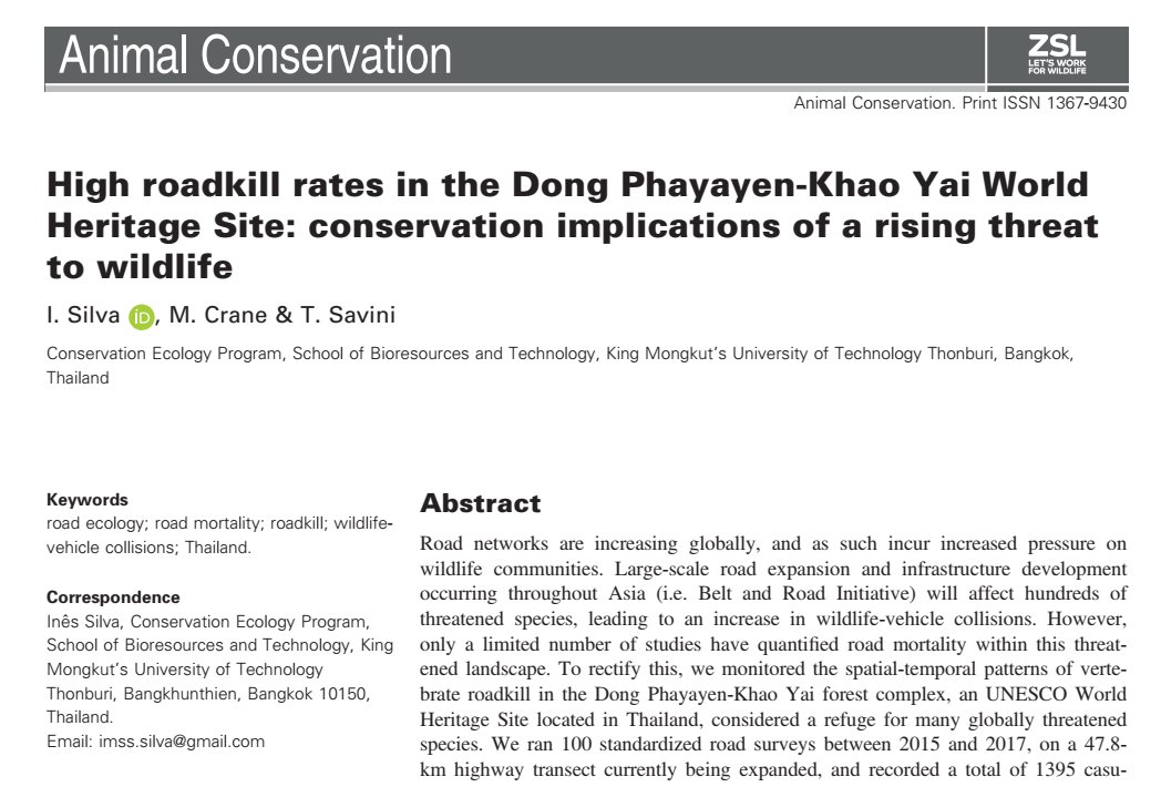 ecoisilva's tweet photo. 5/5 #WBTC1 #Conserve1 We need more research to understand the full impact of vehicle collision on #bats, particularly in the SEA region. For more information on this project, check out our first research paper here (multi-taxa focus): https://t.co/9y3g6O4TAr. 🦇🇹🇭 https://t.co/eJMeOQmVm8