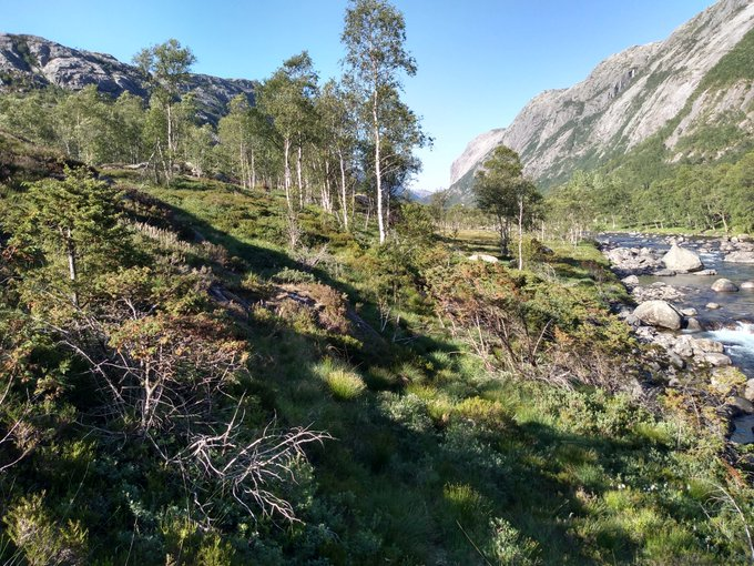 Day 13. Perhaps the most amazing thing about SW Norway is that 100 years ago it was almost treeless. The pics show Fidjadalen in the early 1900s (from the display in the small museum here) and from the same spot today. I haven't seen any trees over 100ya