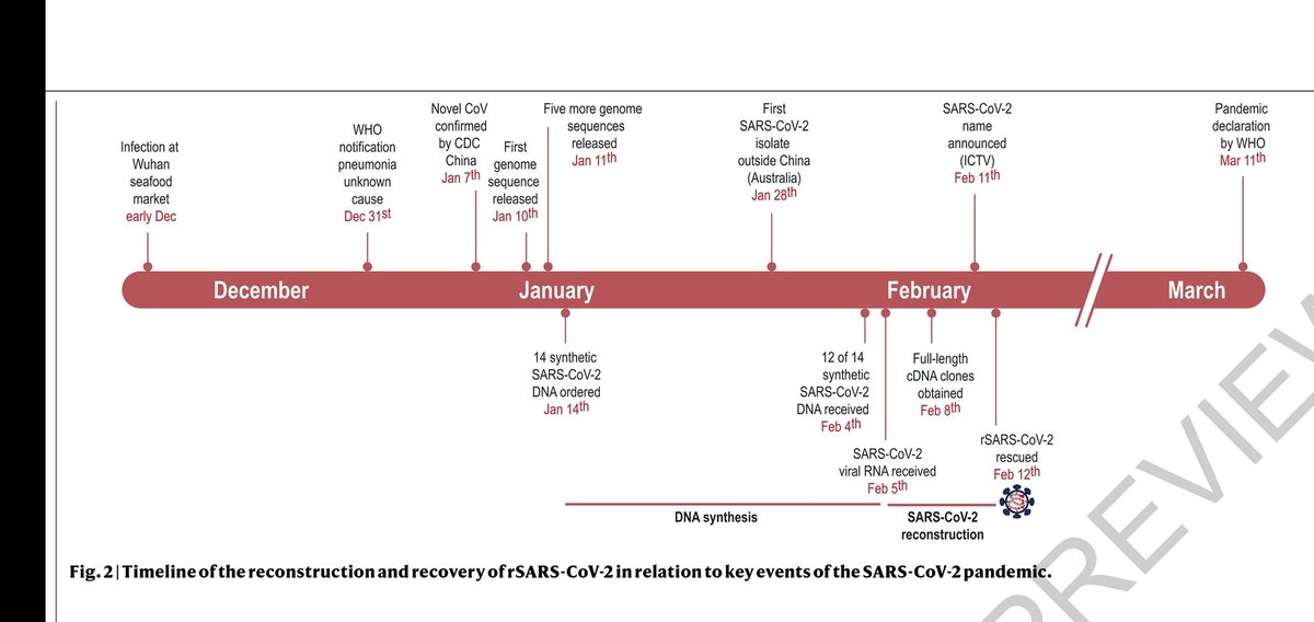 7. What amazed me when I read the full article was this timeline on page 5.  The entire virus had been synthesised by Feb 12th.