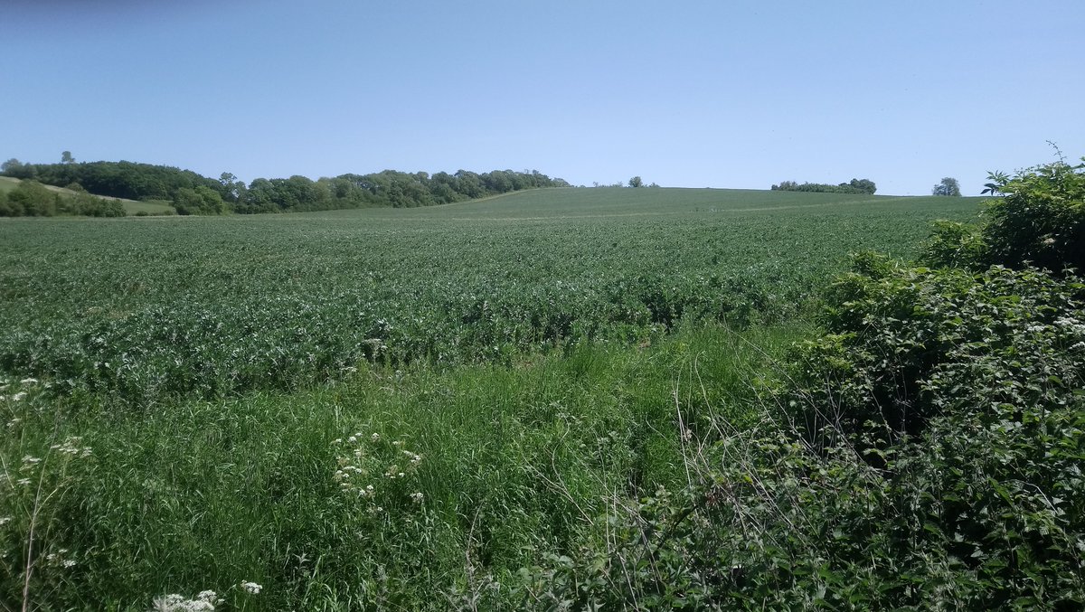 Farming can frame the countryside with habitat, it's important UK Govt look at how UK food production & profitability can thrive in new trade deals. Future land management has to offer sensible plans in order to pay the bills. Hope you enjoyed the tour, a cold drink required. 4/4