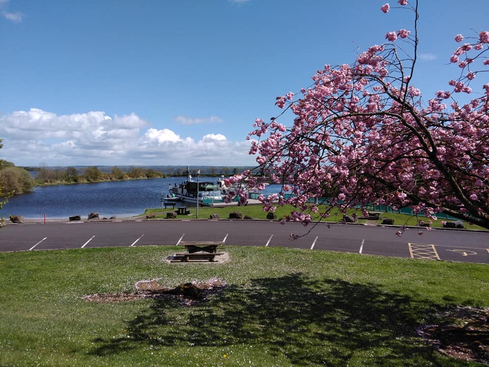 Mid Ulster Council tweet media