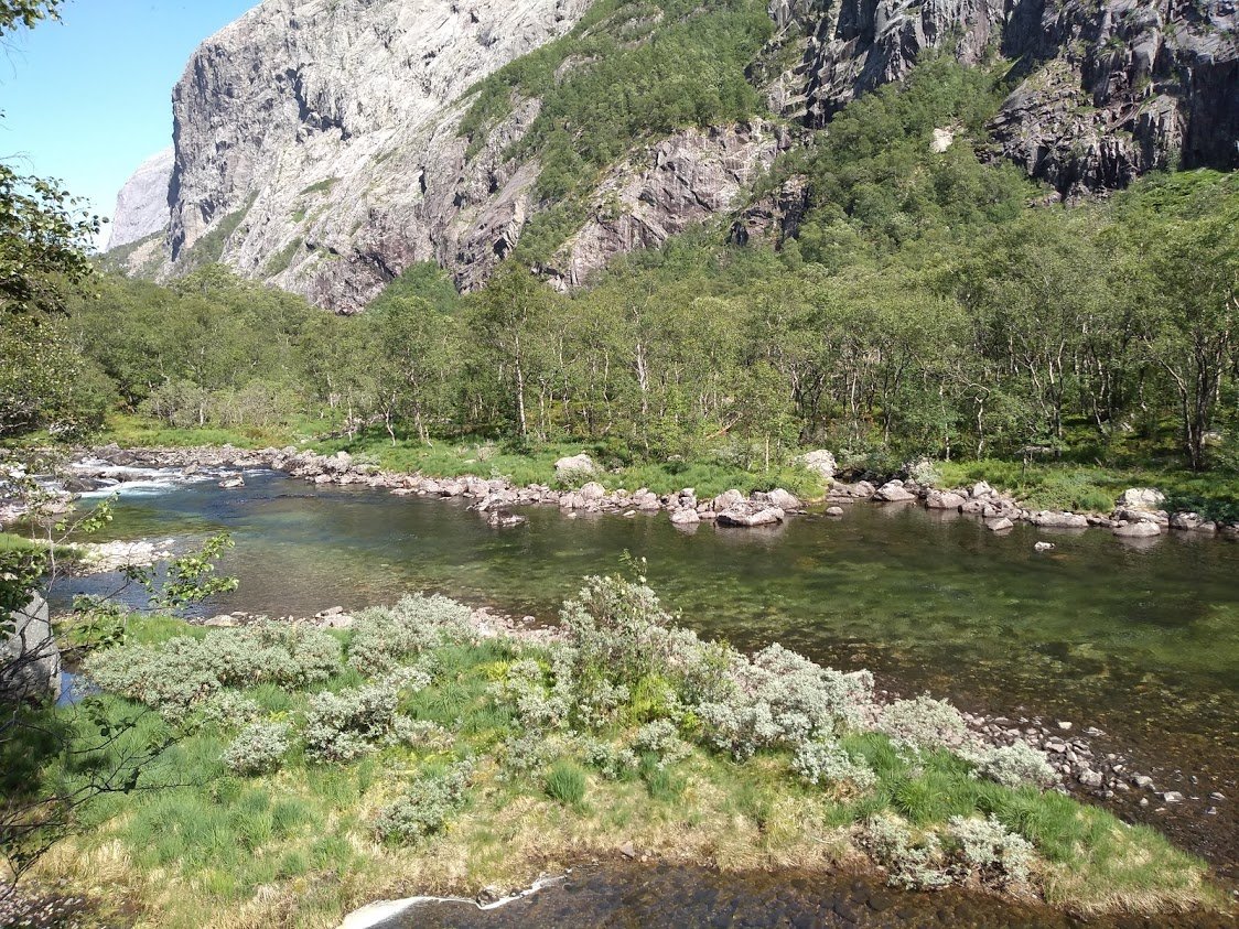 This time 2 years ago, I went on sabbatical to SW  #Norway to learn about montane habitats. Was supposed to be going again this year, which obviously isn't going to happen. So here's a thread combining the daily tweets I made by way of re-living it all. LONG THREAD
