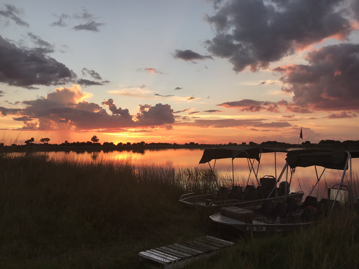 Sense of Africa Botswana tweet media