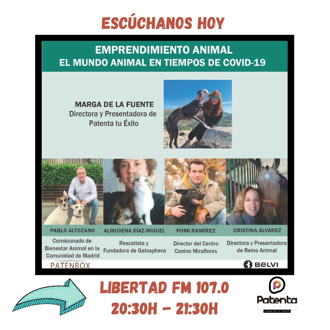 patentatuexito's tweet image. El mundo animal en tiempos de Covid-19 @crisalvap @Gatosphera @ComunidadMadrid @LibertadFm107