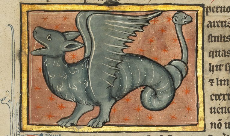 Dragonfire is a poetic representation of their roar and infectious bite, you're all welcome, I've now officially solved the dragonfire question. I'm ending this thread with are some derpy looking medieval dragons for you to join me in snickering at.