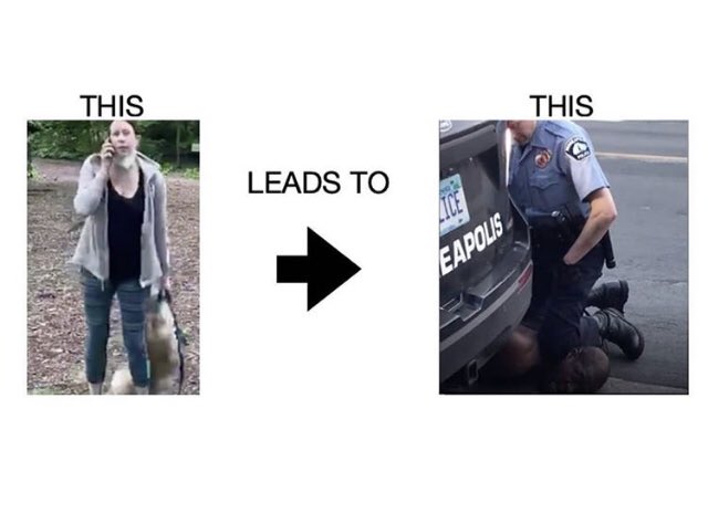 <a href="/Phil_Lewis_/">philip lewis</a> Well #AmyCooper we are currently praying for another family who’s family member became the victim of the type of activity you were doing. Come back later for feelings! #GeorgeFloyd 🙏🏽