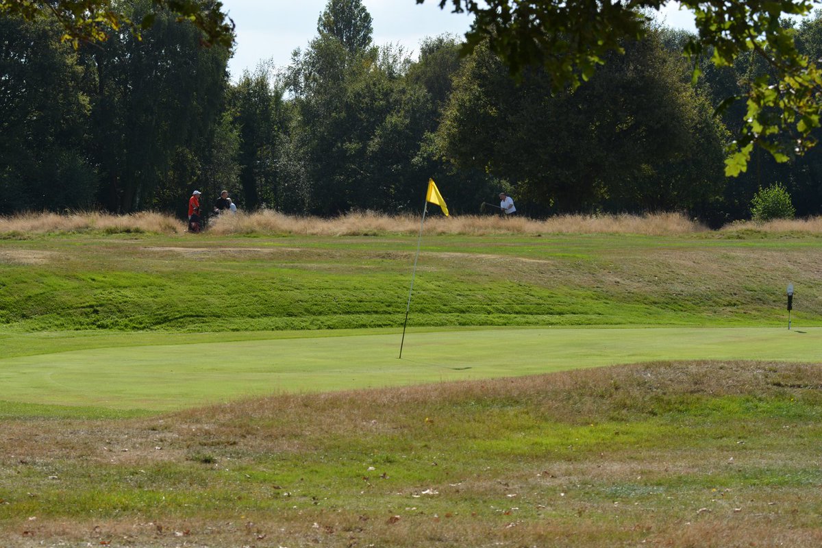 Thames Ditton Golf Club tweet media