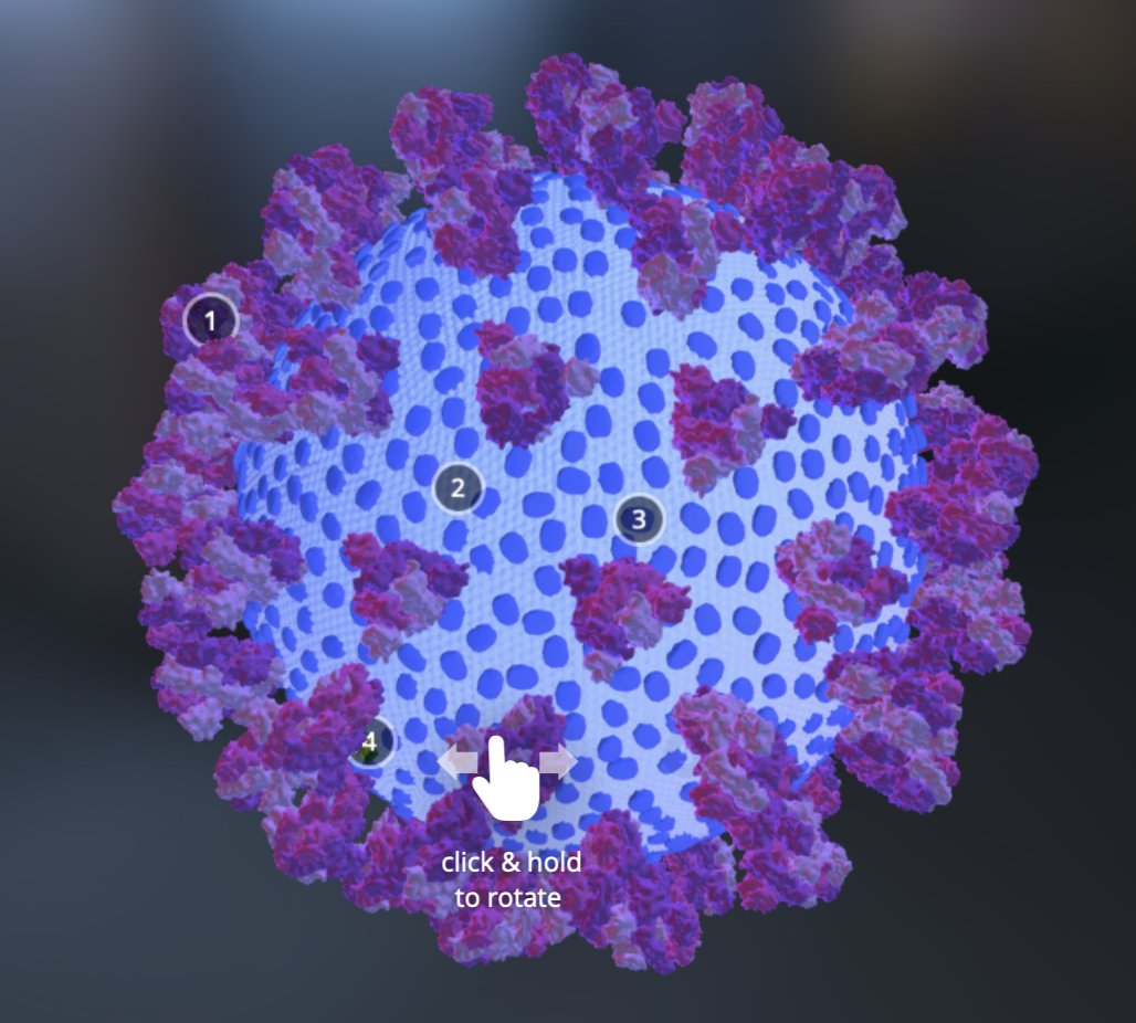 BREAKING NEWS: Detailed 3D model of SARS-CoV-2 revealed 
Model created by 
<a href="/GSofA/">The Glasgow School of Art</a> <a href="/GSofASimVis/">SIT-GSA</a> graduate Annabel Slater 
@Scient_Art with 
<a href="/UofGlasgow/">University of Glasgow</a> Centre for Virus Research
FULL STORY: gsapress.blogspot.com/2020/05/news-r…