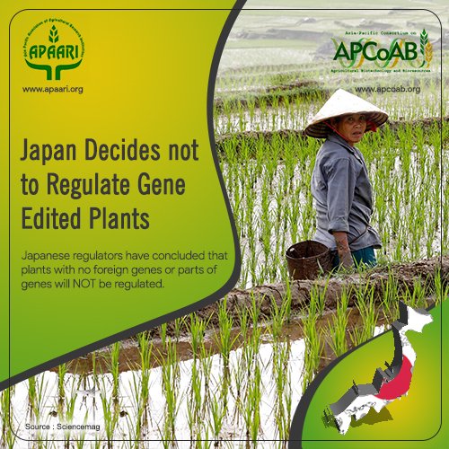 APCoAB's tweet photo. Japan Decides Not to Regulate Gene Edited Plants
#Japan will #NOT #Regulate #Gene edited #SDN1 plants #APAARI #CropLifeAsia
Source: https://t.co/bXdJyHLtAt https://t.co/KezeEuEwyK