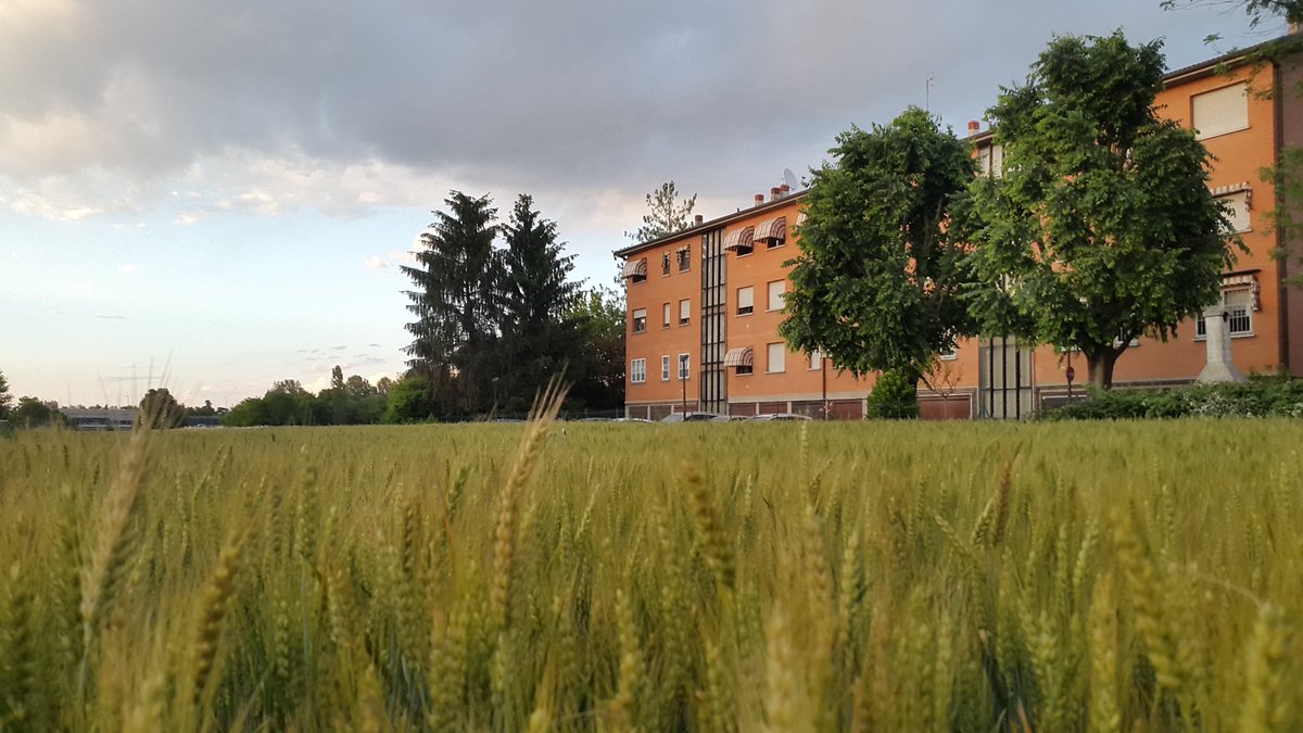 Bologna Mulino Bianco
