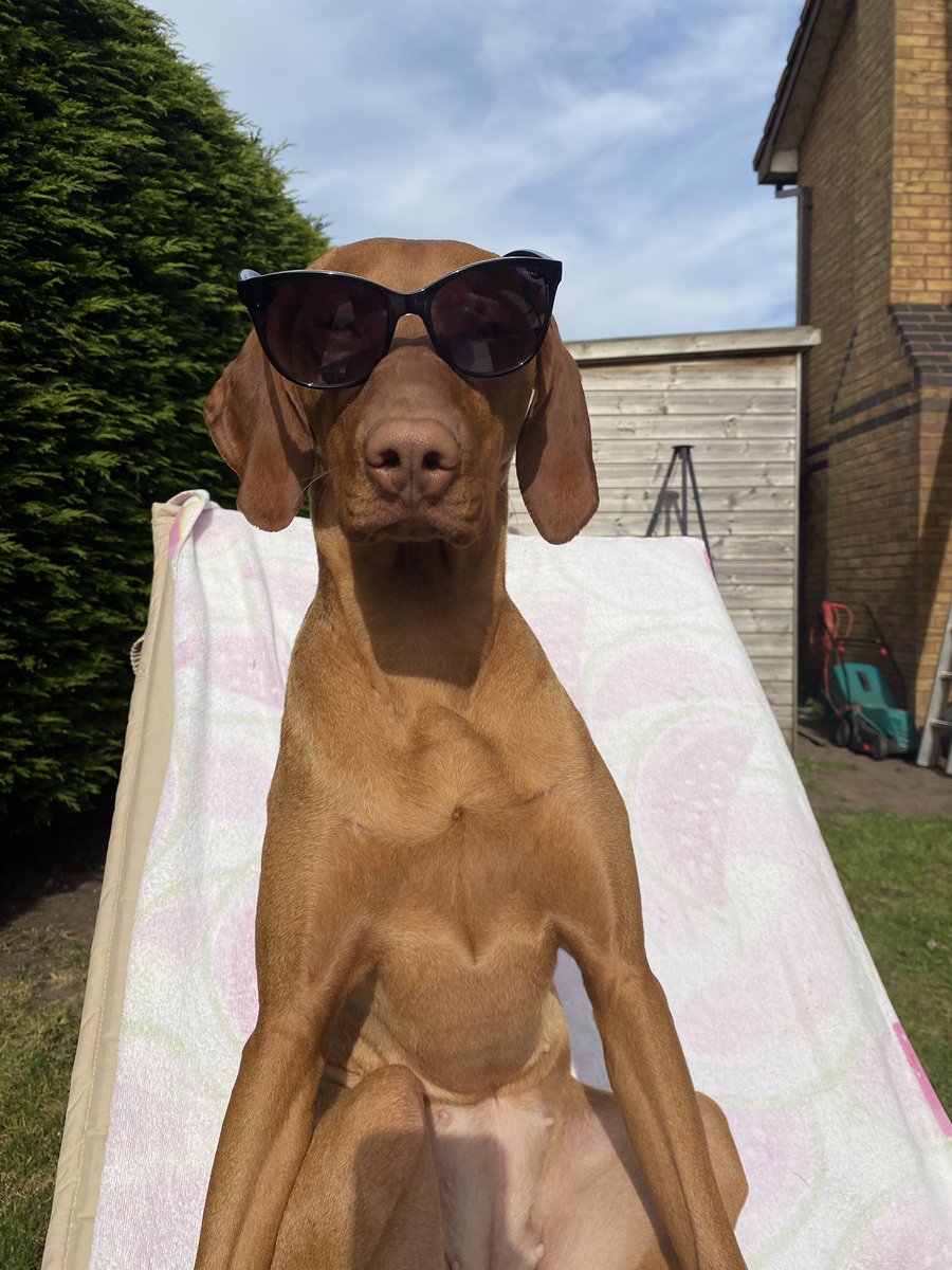 EmmaADI1's tweet photo. @karen_hauer This is Ginny https://t.co/6jUtSqSYL1
