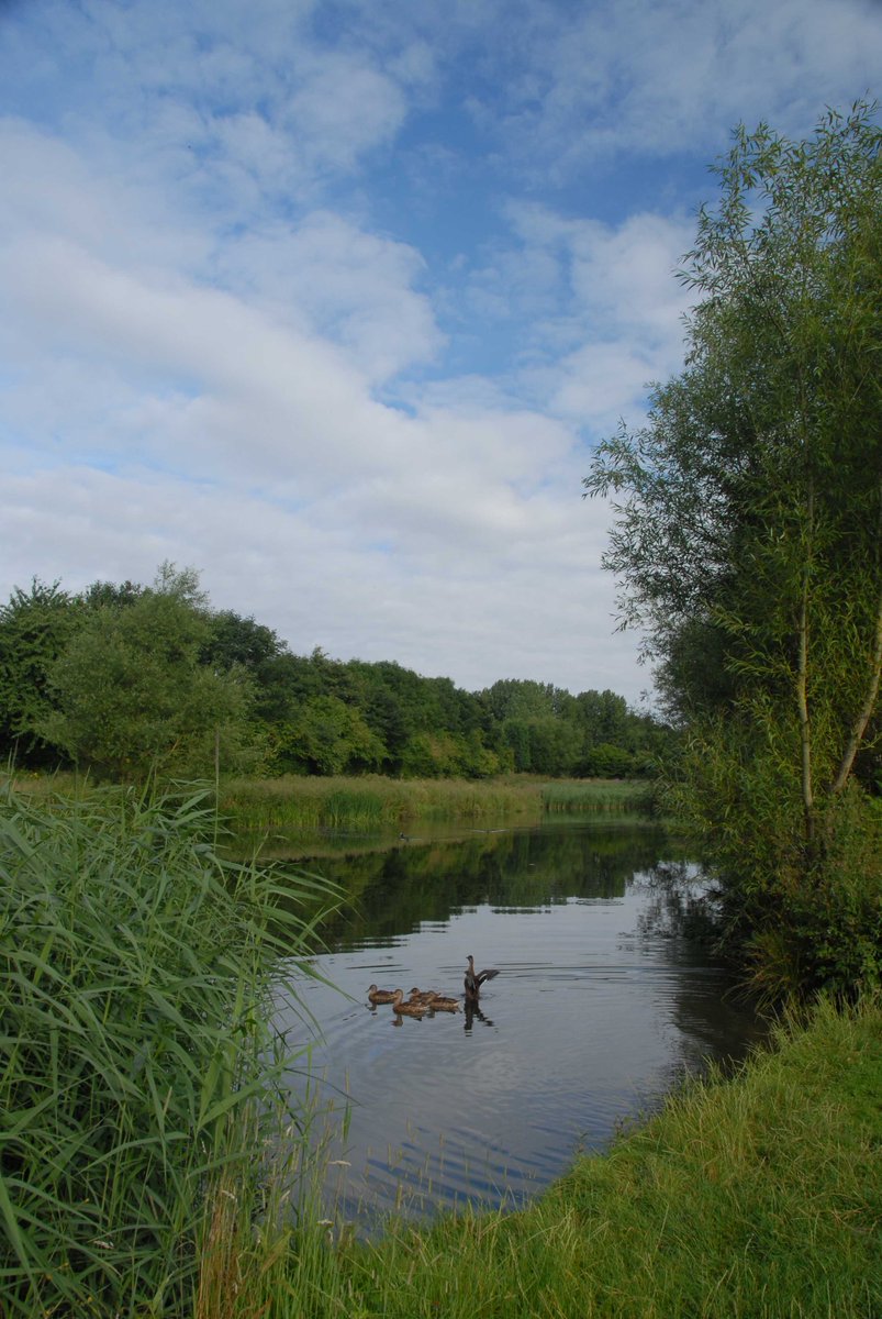 NE_WestMids's tweet image. We would like to congratulate  @My_Wild_Telford on the launch of their new twitter account. It will be great place to discover more about  @TelfordWrekin #Greenspaces and the wonderful #LocalNatureReserves (LNR) in the borough. Find an LNR near u at designatedsites.naturalengland.org.uk
