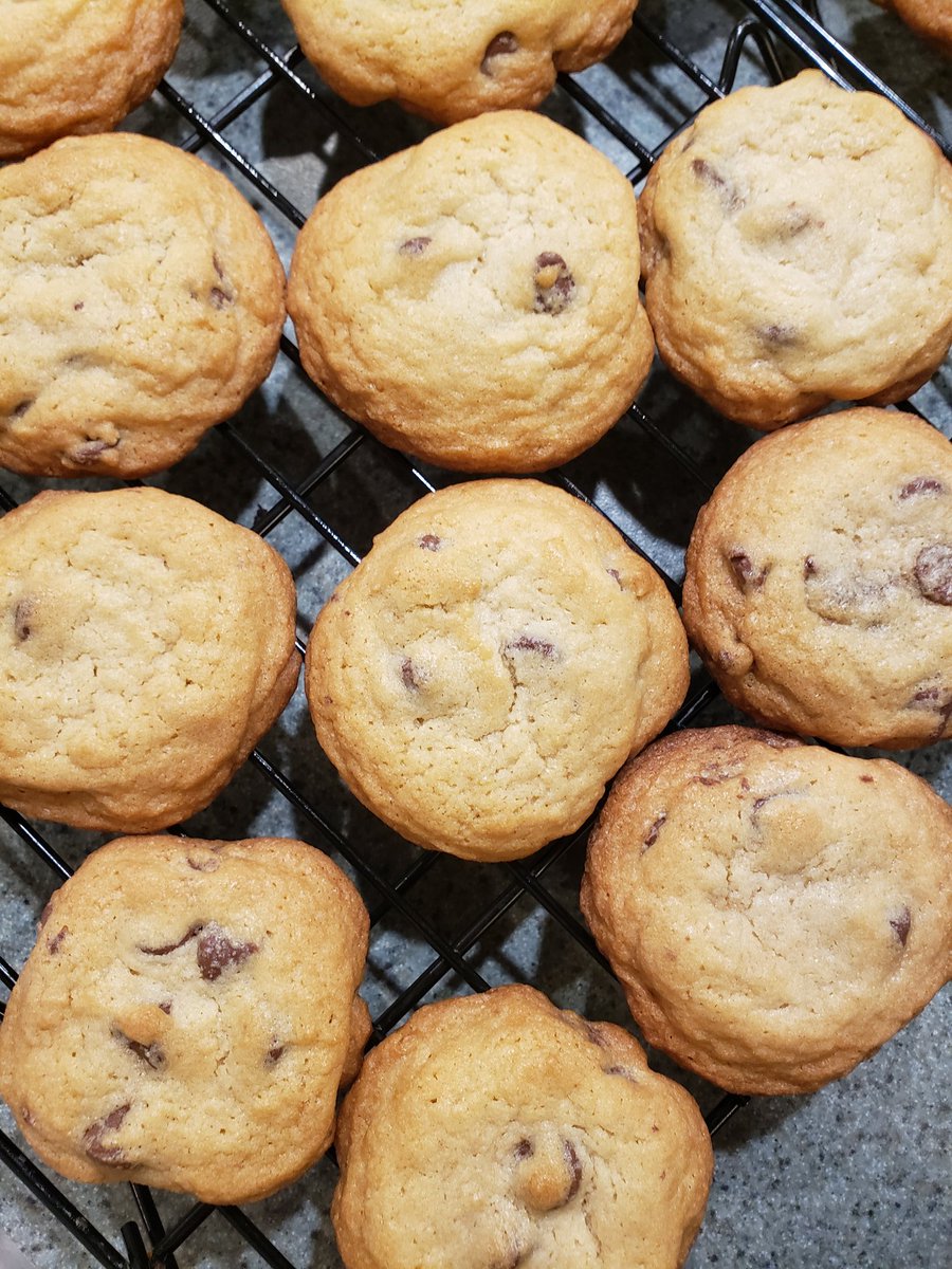 Julia Bergeron tweet media