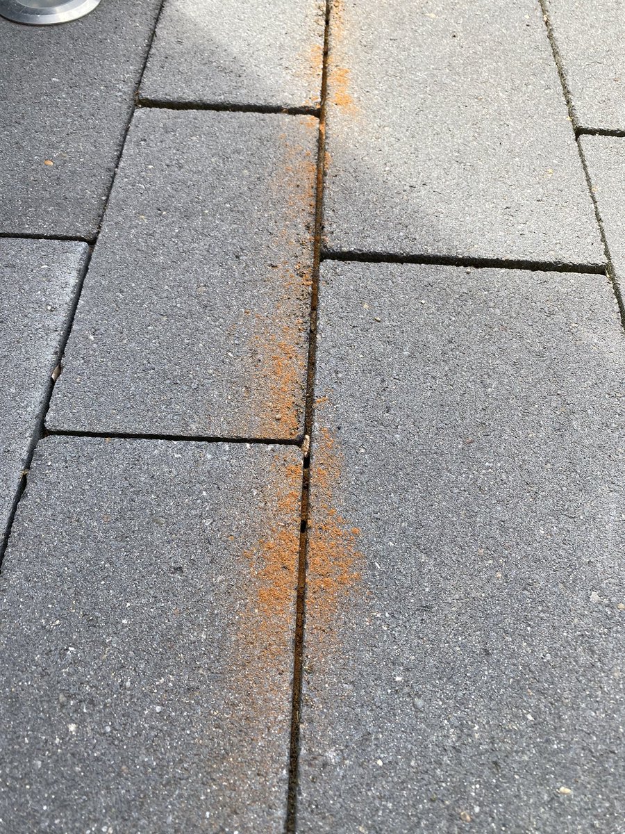 iDecideTwit's tweet photo. Mieren weg door kaneel te strooien? Helpt dat echt? https://t.co/OKyzXNSWjl