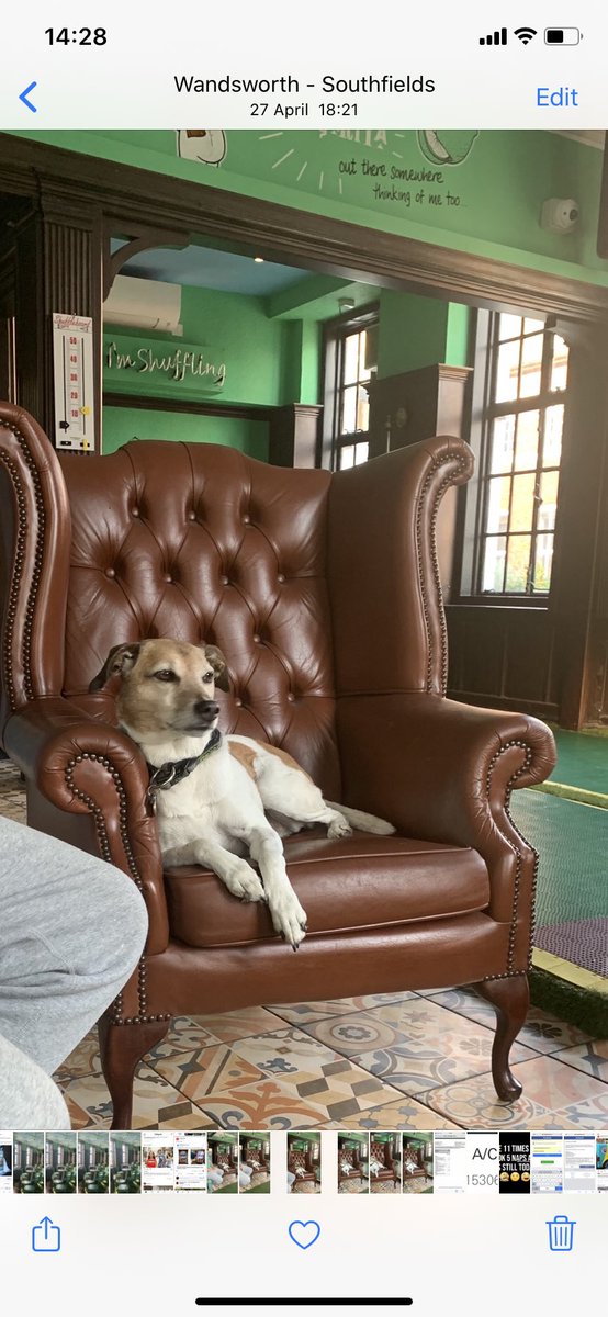 SlyBeastBrewing's tweet photo. Sly & Beast watching us #brew @SlyBeastBrewing Imperial Stout #wandsworth #ramstreet @CAMRAswl @LondonBrewers @BIIandBIIAB @YoungsPubs @RamPubs @RogerProtzBeer @MelissaCole @SIBA01 @WandyCommunity @THERAMINNSW181 @PigandWhistleSW @oldsergeantpub @oldhousedorking https://t.co/mHJ14pGZex
