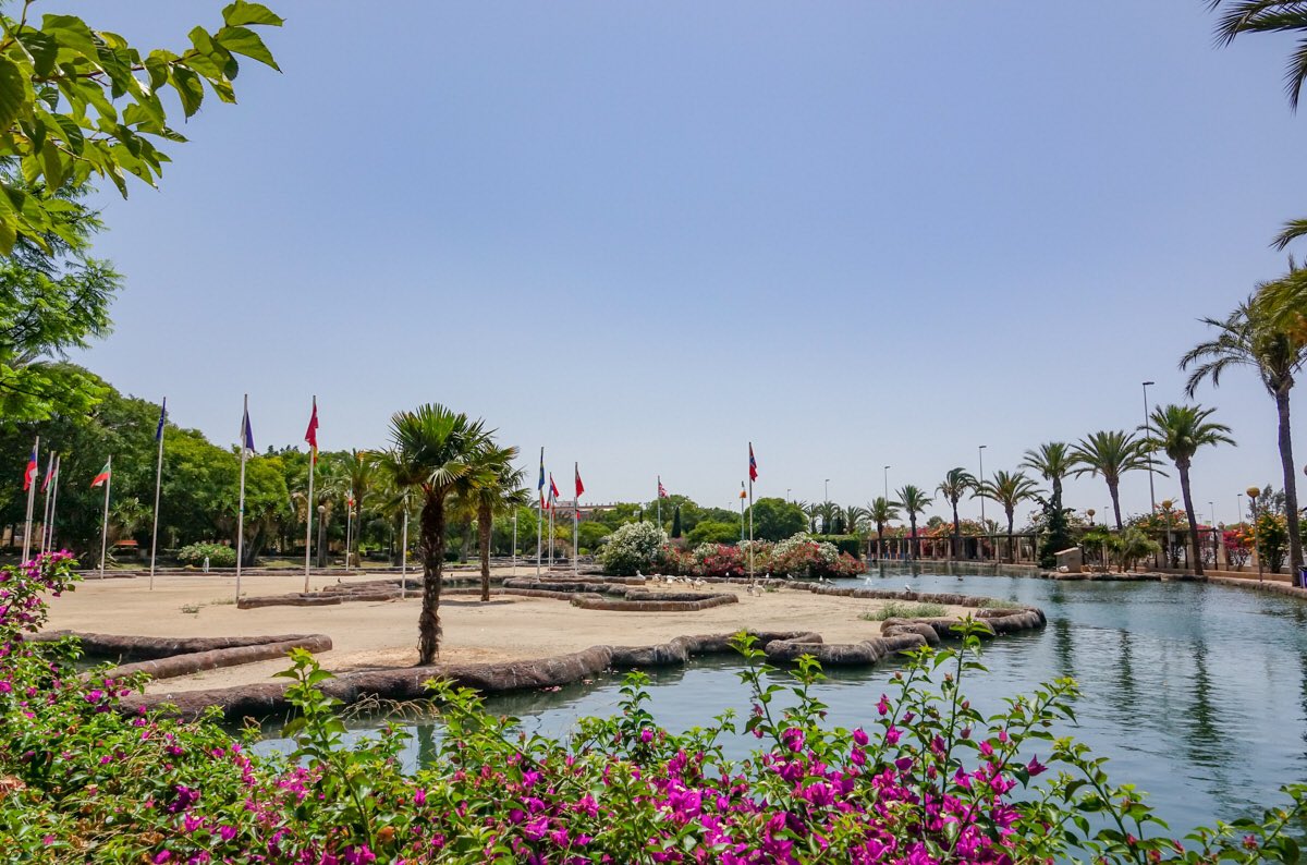 DIYTripsTips's tweet photo. Europe Park in Torrevieja Spain. More #travelphotography at https://t.co/NnkPB9yDA5.  #travel #photography #Advertising #adventure #adobe #photoshop #stockphotography #stockphotos https://t.co/B2czrgBFg4