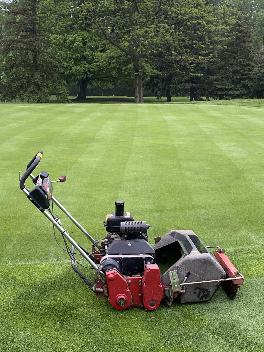 MattyMarz's tweet image. Brush double mow and roll. #needmorespeed