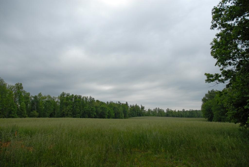 EnoRiver's tweet photo. NC Clean Water Mgmt Trust Fund helped us acquire &amp; open the Confluence Natural Area, where many have sought respite during the pandemic. Investing in conservation trust funds ensures open spaces remain available for all NC citizens! https://t.co/CA8LJaeNlj #ProtectNCLand4All https://t.co/0c9WagabOs